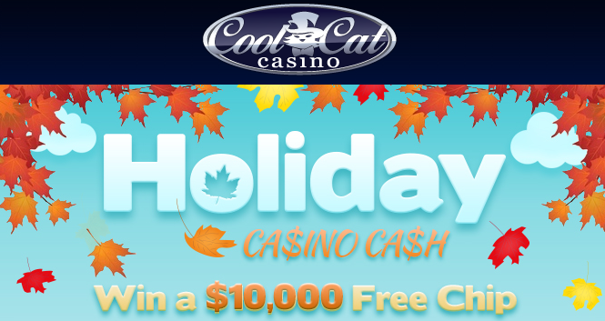 Cool Cat Casino Bonuses November 2015