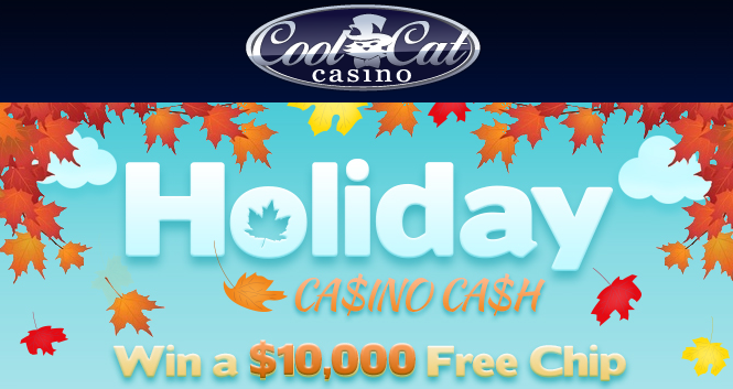 Cool Cat Casino November 2015 Bonuses